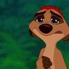 timon0132