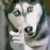 kevyfeitosa