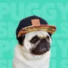 Puggy Smalls