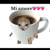 lillyelise05