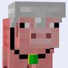 minecrafter21_