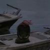 5َِ05