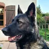 itsmelokithegsd