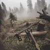 nicbu16