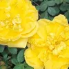 azatullah533