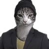 gatosecso