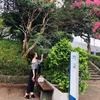 huyenhuyen12091