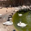 chahrazadaden