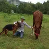 thanh_cong_89