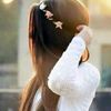 user53030233