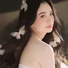 buihongtam