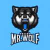 mr.wolf904638