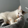 Tyron_Nala_Family