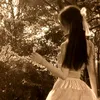 _o_l_i_a222