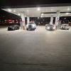 _beaver23_