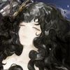 venus..221