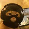 nguyen_c_quan