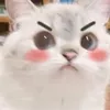 yingneee226