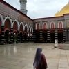 ekamustk