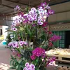 btuyen0511