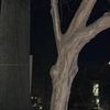james_2834