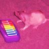 r.is.for.ratthew