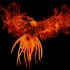 phoenix_rising_82