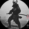 zed_342