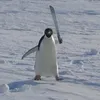 tuotuoxinhnha_tuo