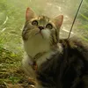 luna.lou1508