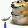 plugshawtynokkia
