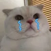 tramtuu27