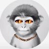 followmymain_tyebassham