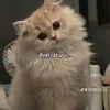 camamyeue
