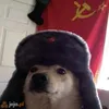 wojtasek777