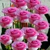 joyjoy465