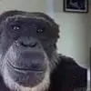 epicgamer895