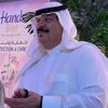 ali.alseyoufi