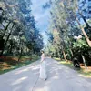 nguyenhoa_111990