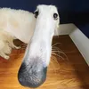 memeonlyomg
