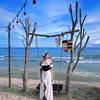trannie230619