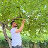 mehmetorgan6363