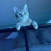 phillip._b