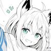 vangex_fbk