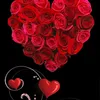 fabiola7204gmail.com