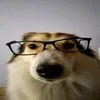 shystrik2017