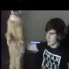 stolb.ru