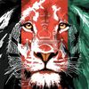princ3zohaib