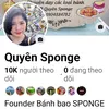 quyensponge