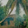 tuyt.huynh0